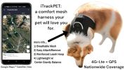 Get Realtime Pet Locations w/ Pet Tracker Mini Cat Dog GPS Tracking Collar Size:M