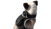 Get Realtime Pet Locations w/ Pet Tracker Mini Cat Dog GPS Tracking Collar Size:M