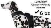Inexpensive Dog Locator Device Waterproof + Perimeter Fencing Settings Size:XXL