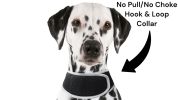 Apps Controlled GSM GPS Pet Tracking System Waterproof Cat Dog Locator Size:M
